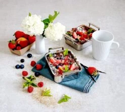 Cristel Mini Braadslede 12 X 10 Cm Rvs -Keukenbenodigdheden Winkel 4 md clafoutisminiplat