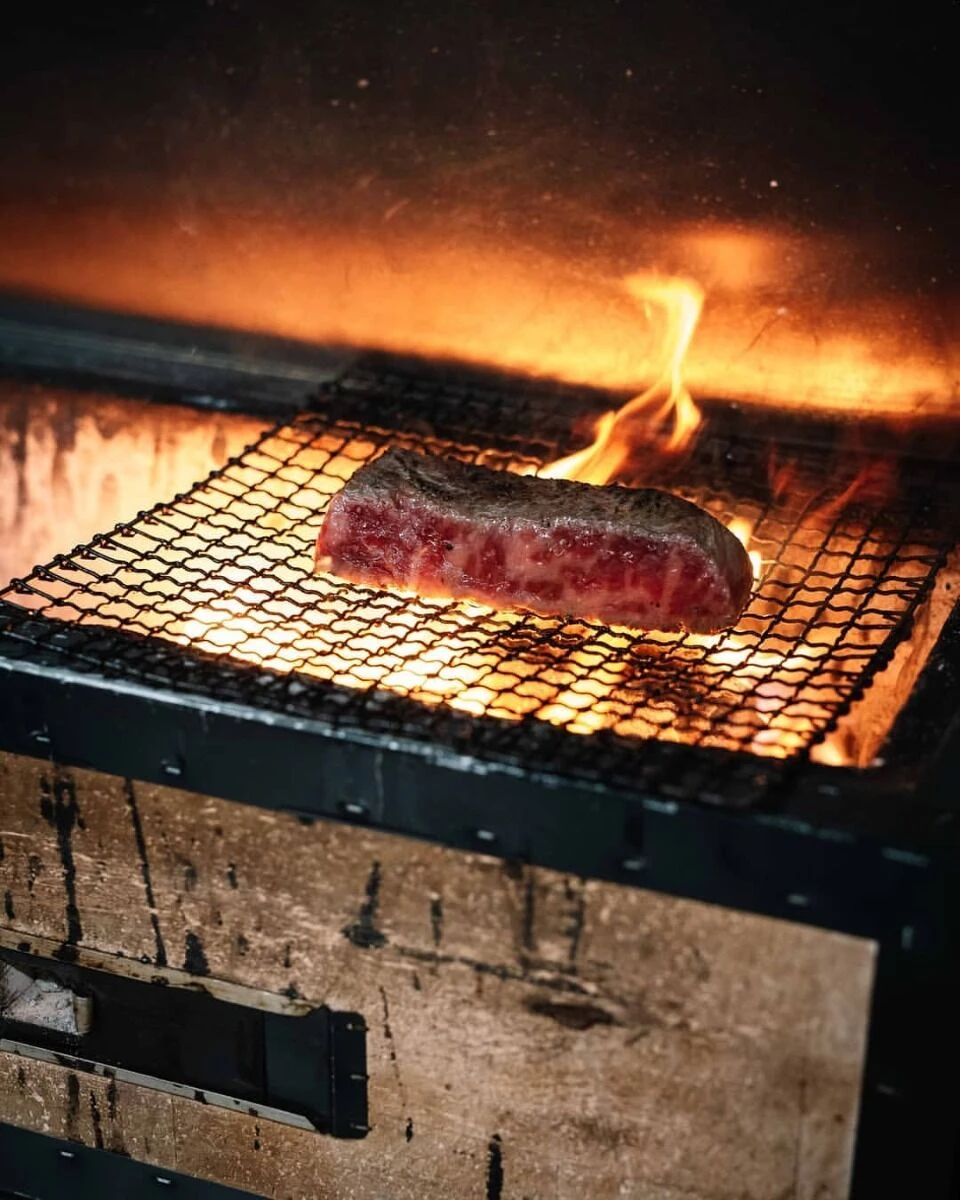 Oldenhof Konro Grill Diatomite Japanse Barbecue B-11 77 X 23 X 20 Cm 4 Oldenhof Konro Grill Diatomite Japanse Barbecue B-11 77 X 23 X 20 Cm - Afbeelding 2