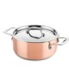 DUCQ Kookpan Voor Inductie ø 20 Cm Koper -Keukenbenodigdheden Winkel kook20 1