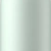 Chilly's Bottle Waterfles 500 Ml Rvs Lichen Green -Keukenbenodigdheden Winkel lichen 1
