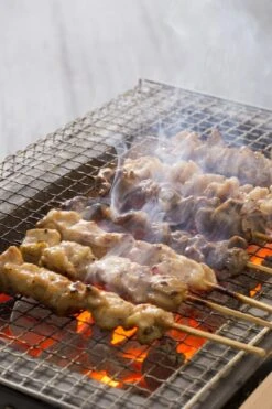 Oldenhof Konro Grill Diatomite Japanse Barbecue B-11 77 X 23 X 20 Cm 7 Oldenhof Konro Grill Diatomite Japanse Barbecue B-11 77 X 23 X 20 Cm -Keukenbenodigdheden Winkel shutterstock 556753543
