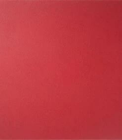 Finesse Skin Natur Brick Placemat 35 X 45 Cm Leer Salsa -Keukenbenodigdheden Winkel skin01007 onderzetter 1 1