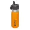 Stanley The IceFlow Flip Straw Water Bottle 650 Ml Saffron 1 Stanley The IceFlow Flip Straw Water Bottle 650 Ml Saffron -Keukenbenodigdheden Winkel stanley thegoiceflowflipstrawwaterbottle0.65l 22oz saffron 1 1800x1800