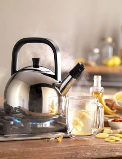 Zwilling Plus Fluitketel Rond 1,6 Liter Rvs -Keukenbenodigdheden Winkel zwilling plus fluitketel rond 1 5 liter rvs